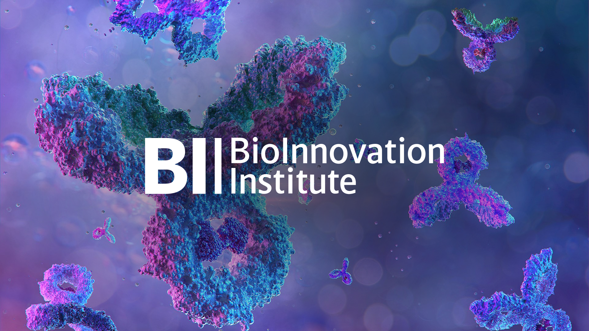 BII website redesign